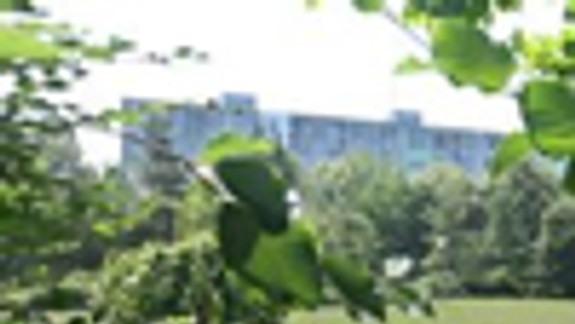 V Bioparku vymenili staré lavičky