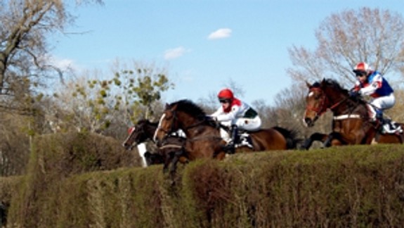 V nedeľu bude na dostihy vstup zadarmo