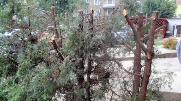 Prostredie si sami ničíme a devastujeme