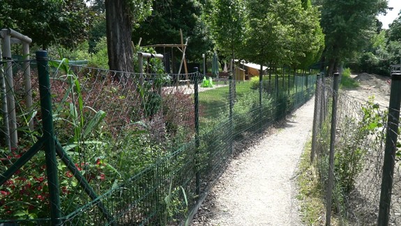 Neuveriteľné: Zlodej sa v Karlovej Vsi ulakomil na lampu verejného osvetlenia