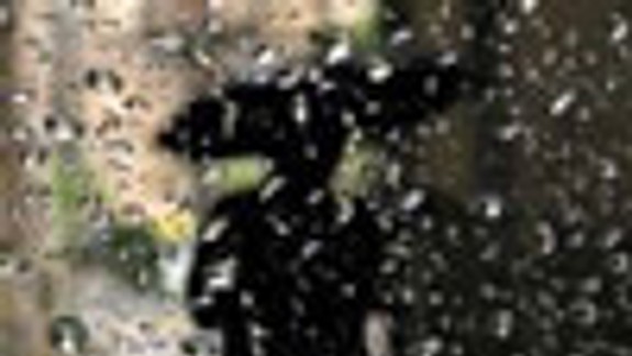 Hasiči v noci pre dážď zasahovali v Devíne