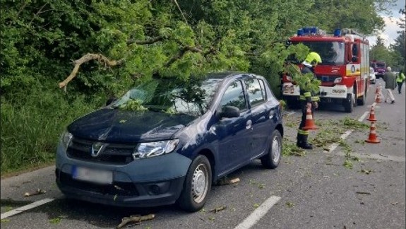 Na Devínskej ceste spadol na prechádzajúce auto strom