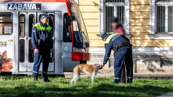 Mestskí policajti za prvé štyri mesiace riešili vyše 100 priestupkov majiteľov psov