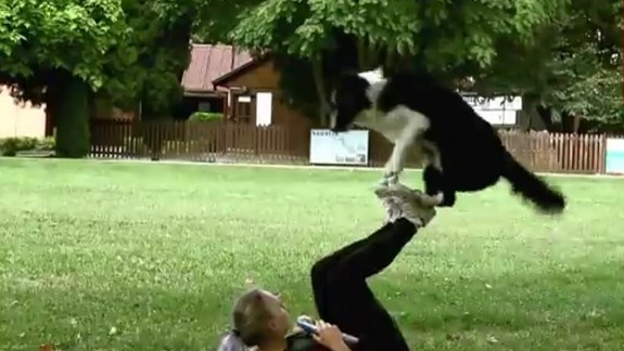 Dostihová dráha patrí milovníkom psích športov