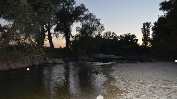 Polícia po totožnosti mŕtvej ženy a častiach tela z Dunaja