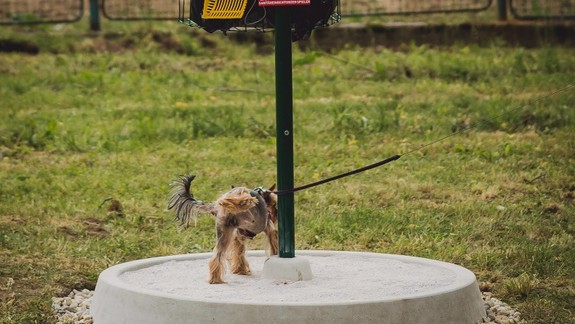 Petržalke ponúkli ekologické toalety pre psov