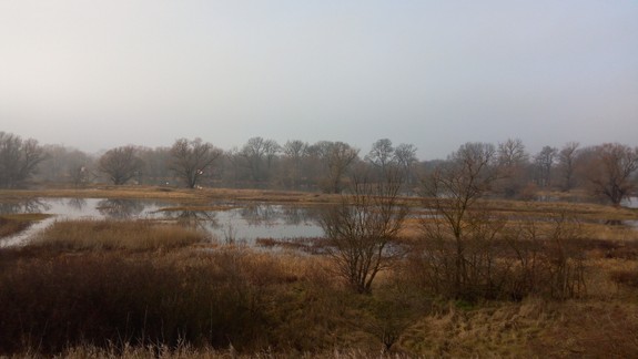 Ochranári upozorňujú: Vytváranie nových mokradí je dnes dôležitejšie ako v minulosti