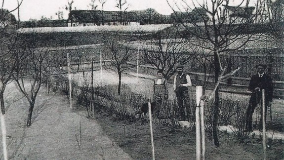 HISTÓRIA: Písomná zmienka z územia Petržalky pochádza už z 13. storočia