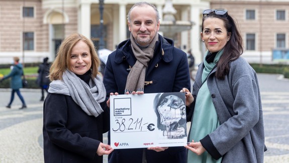 Peniaze pomôžu rodinám v ťažkej situácii: Na Charitatívnom aukčnom salóne vydražili diela za desaťtisíce eur
