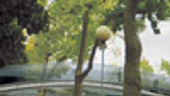 Zelené cunami expandujú na úrad vlády