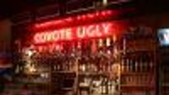 COYOTE UGLY Bar & Restaurant | ZRUŠENÁ