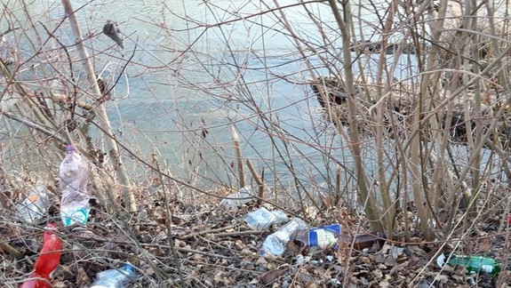 Hrozné: Z prechádzky lesíkom sa stala prehliadka odpadkov!