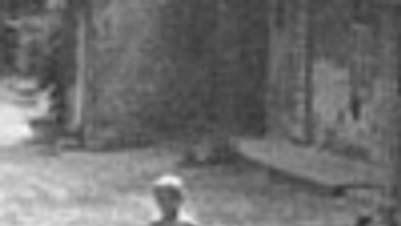 Rivalita chlapcov z predmestských kolónií