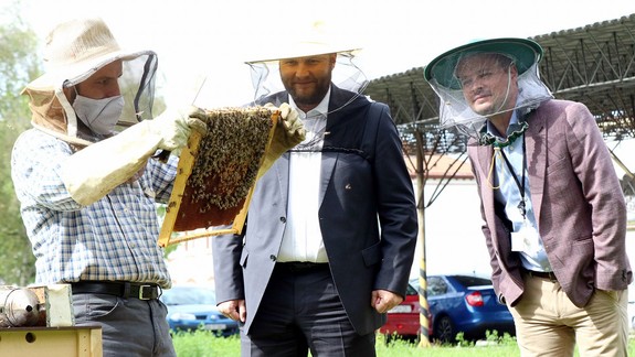 FOTO: V areáli ministerstva obrany umiestnili úle pre mestské včely