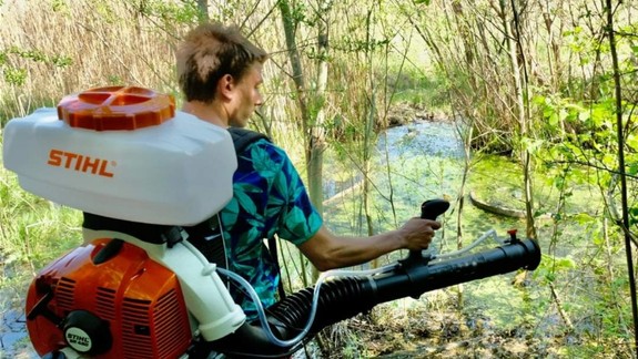 Zasiahli včas? Bratislava pokračuje v boji proti komárom, zasahovala na desiatkach liahnisk