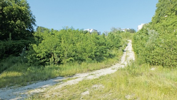 Amfiteáter na Búdkovej mohol ešte slúžiť, teraz tam vyrástla džungľa