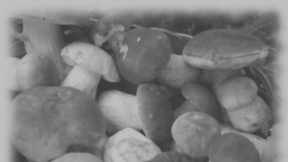 Jedálne lístky na hodoch sa neopakovali