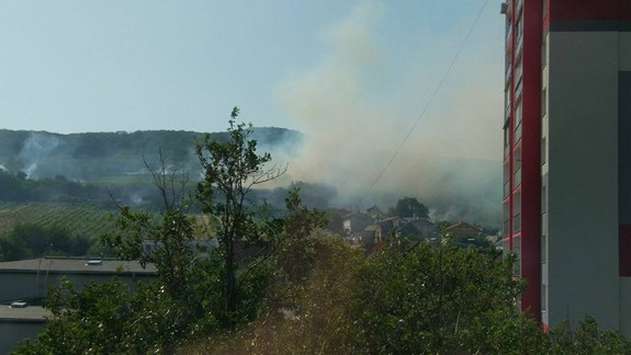 Včerajší požiar vo vinohradoch spôsobila nedbanlivosť - polícia hľadá vinníka