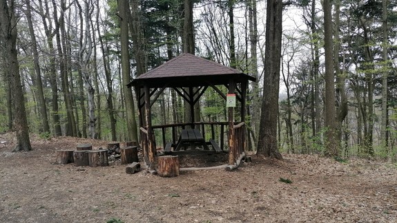 V mestských lesoch, v oblasti Kamzíka, budú v pondelok loviť diviaky