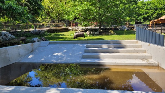 FOTO Boli sme sa pozrieť: V zoologickej záhrade vás čaká niekoľko úžasných noviniek