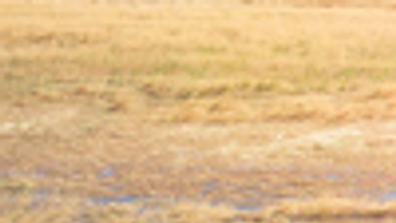 Voda z diaľnice zaplavila Jarovčanom časť úrody