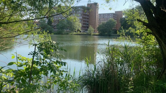 Absurdné: Nemocnica na Antolskej má pri budove park s jazierkom, no pacientom je vstup zakázaný