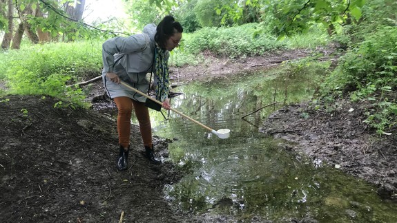 S lovkyňou komárov sme za Ovsišťom objavili „luxusnú pôrodnicu“