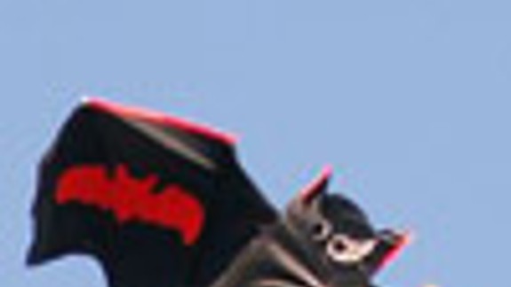 Budúcu nedeľu bude Vajnorská šarkaniáda