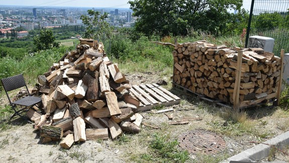Hrozí mu päť rokov za mrežami: Polícia v prípade výrubu 21 stromov v Bratislave obvinila muža zo Senca