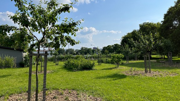 Navštívili ste už Mestský ovocný sad?  Môžete smelo ochutnávať aj plody