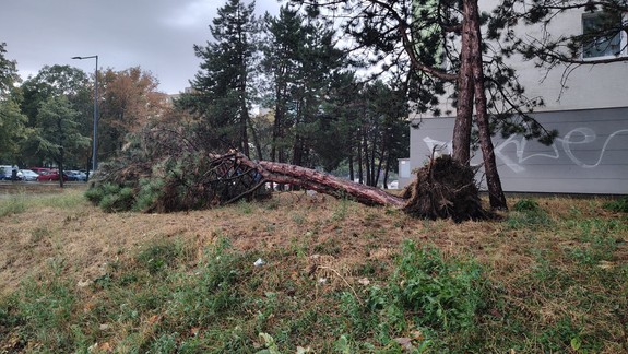 Čunovo ešte nevyčíslilo presný rozsah škôd po štvrtkovej búrke