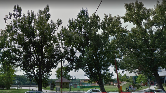 Stromy na Dvořákovom nábreží čakajú bezpečnostné orezy
