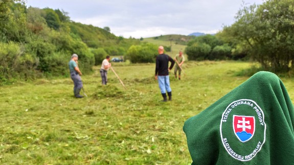 Ochranári posilnia stráž prírody na Devínskej Kobyle vrátane Sandbergu