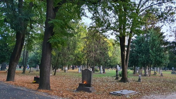 Čo na myšlienku Národného cintorína v Bratislave hovorí mesto?