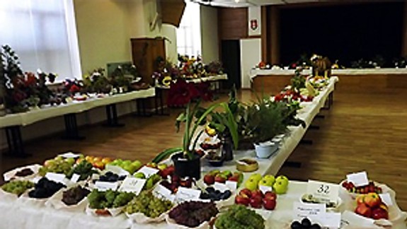 Blíži sa výstava ovocia, zeleniny a kvetov