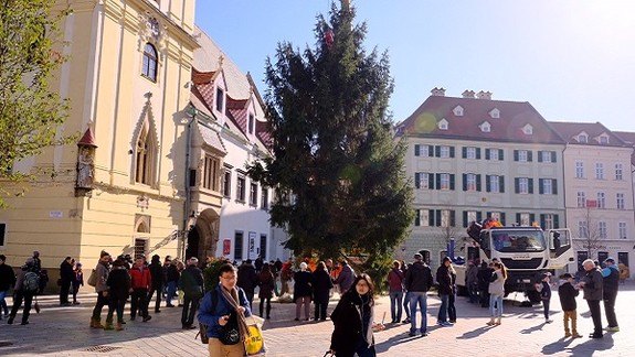 Na Hlavnom námestí už stojí vianočný stromček