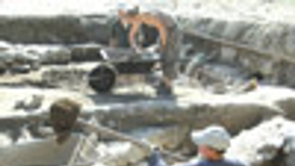 Už v praveku chovali na území Bratislavy psov