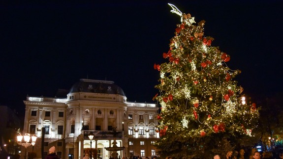 Staré Mesto otvorí tohtoročné vianočné trhy 22. novembra: Stromček osadia pred otvorením