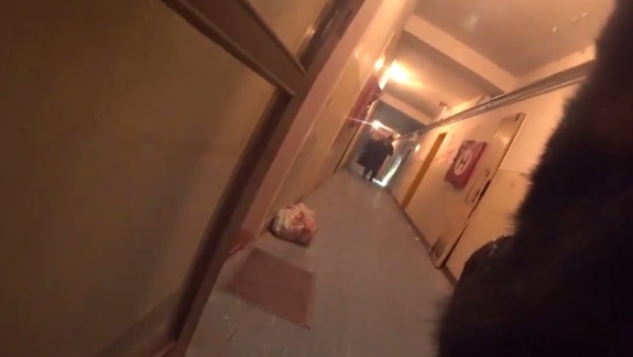 VIDEO: V útrobách Pentagonu. Zábery z kamery na chrbte policajného psa ukazujú príšerné priestory tejto bytovky