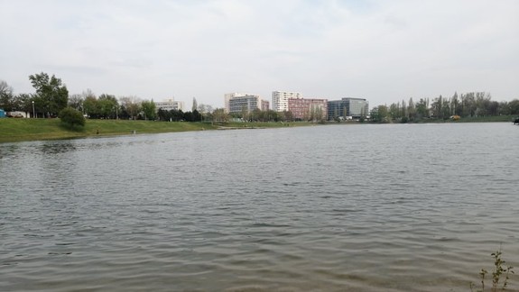 Uhynuté ryby na Kuchajde: Rybári ich nemajú večer kam zvážať!