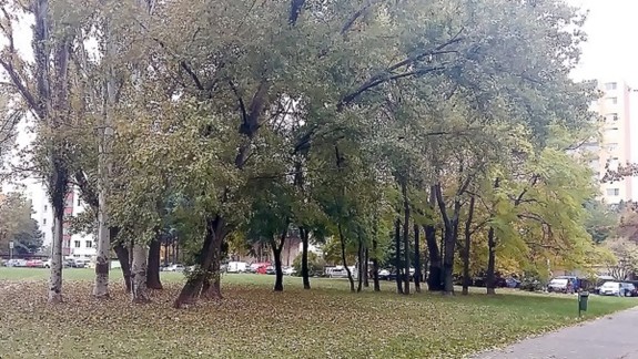 Petržalčania spustili petíciu. Čo ich naštvalo?