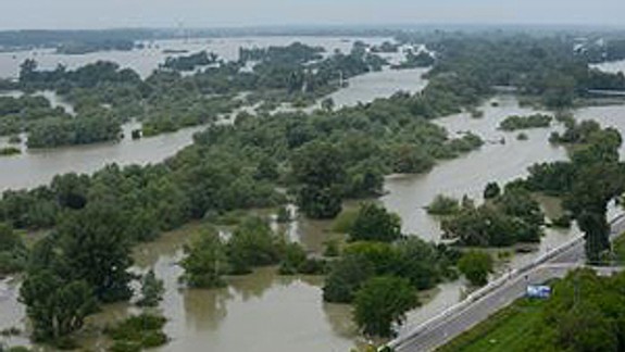 V Devínskej Novej Vsi už počítajú s kalamitou komárov