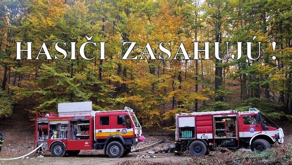 FOTO: Na Kolibe horí les - požiar sa snažia lokalizovať takmer dve desiatky hasičov!