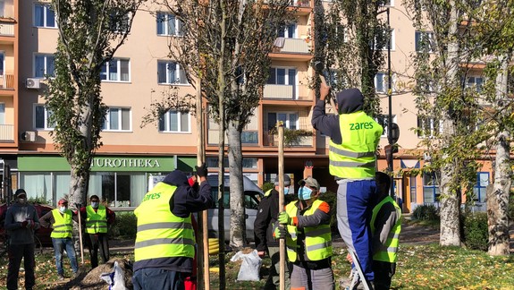 FOTO a VIDEO: V rámci projektu 10 000 stromov mesto v Rači sadilo prvý vzrastlý strom sezóny