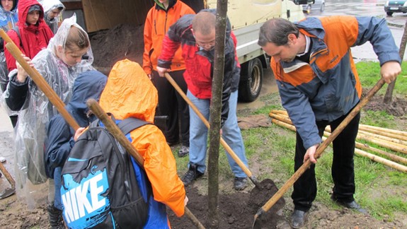 V Novom Meste vysadia do konca roka sto stromov
