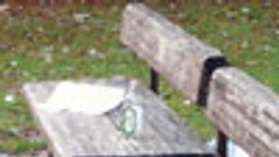 Na obnovu osvetlenia a lavičiek si ešte počkáme