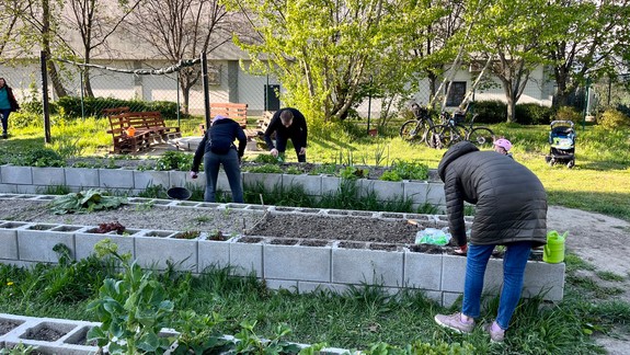 Takto vznikajú sídliskové komunity: Zo spustnutého územia vyrástla v Petržalke spoločná záhrada