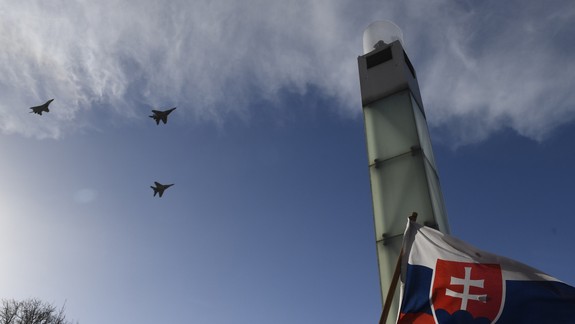 Slovenskí vedci určili pôvod nových skupín hmyzu