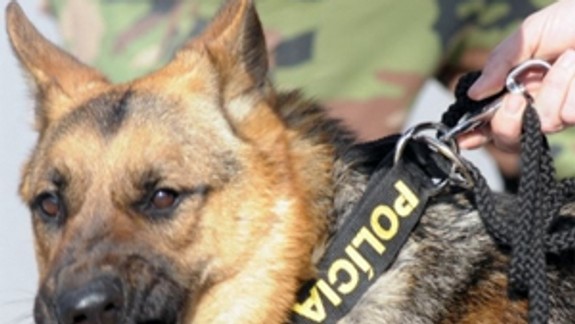 Bombu na zimnom štadióne nahlásila 29-ročná žena