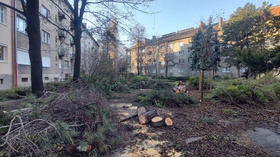 FOTO Takto dopadol jeden z najzelenších vnútroblokov mesta: Ďalší výrub magistrátu vyvolal vášne